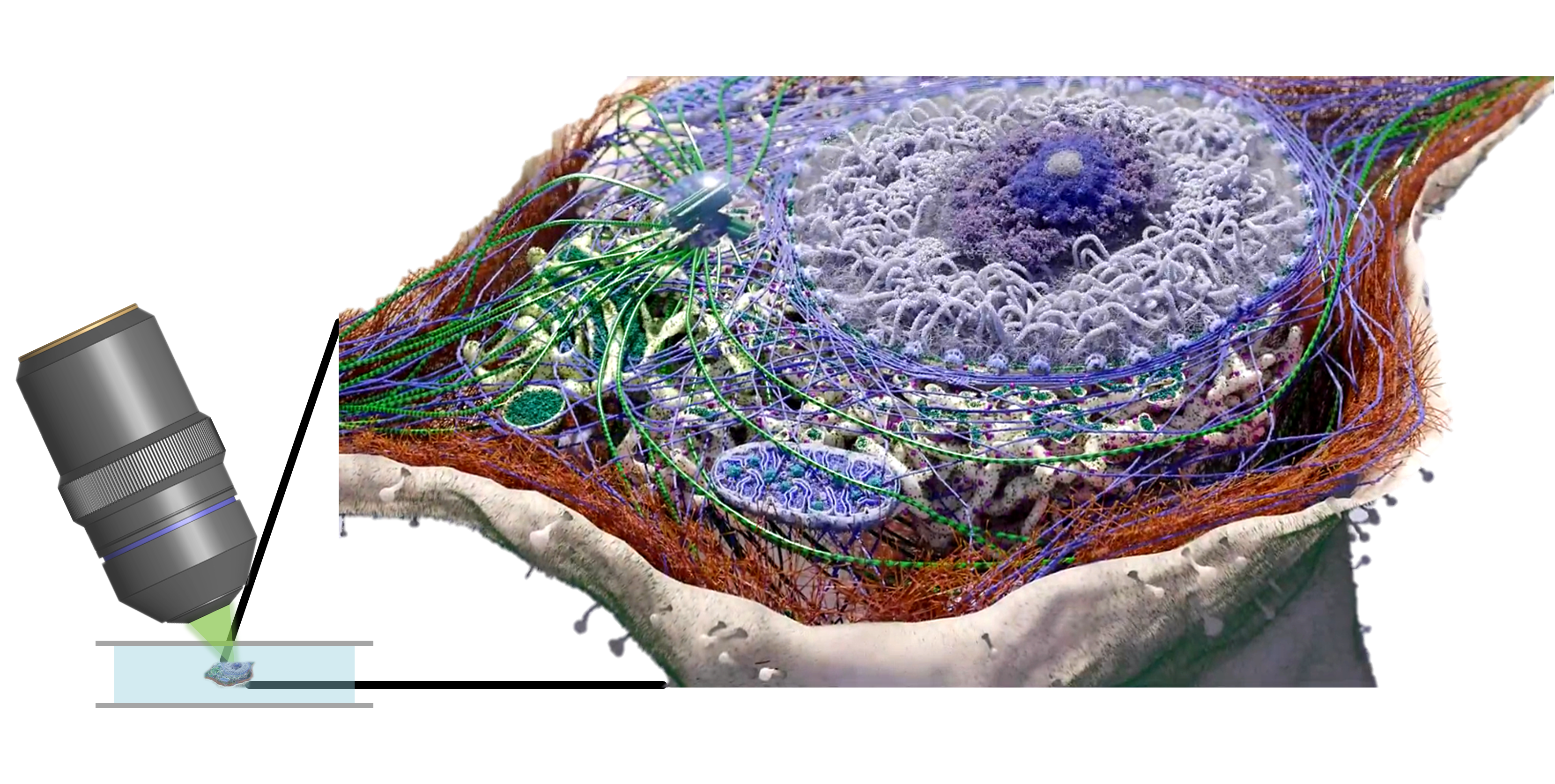 Microscopy systems and algorithms